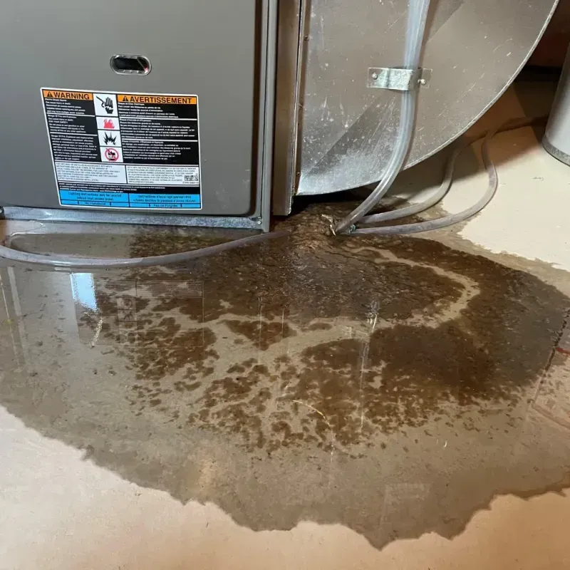 Appliance Leak Cleanup in Bunk Foss, WA